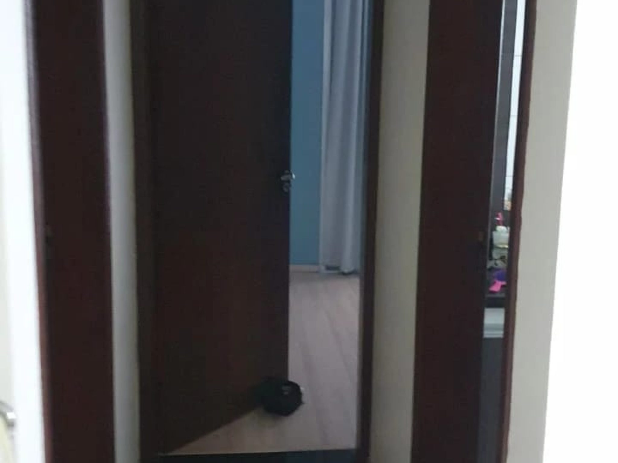 80d1f1d6-6b61-4bdf-8be6-48a019deb9b6